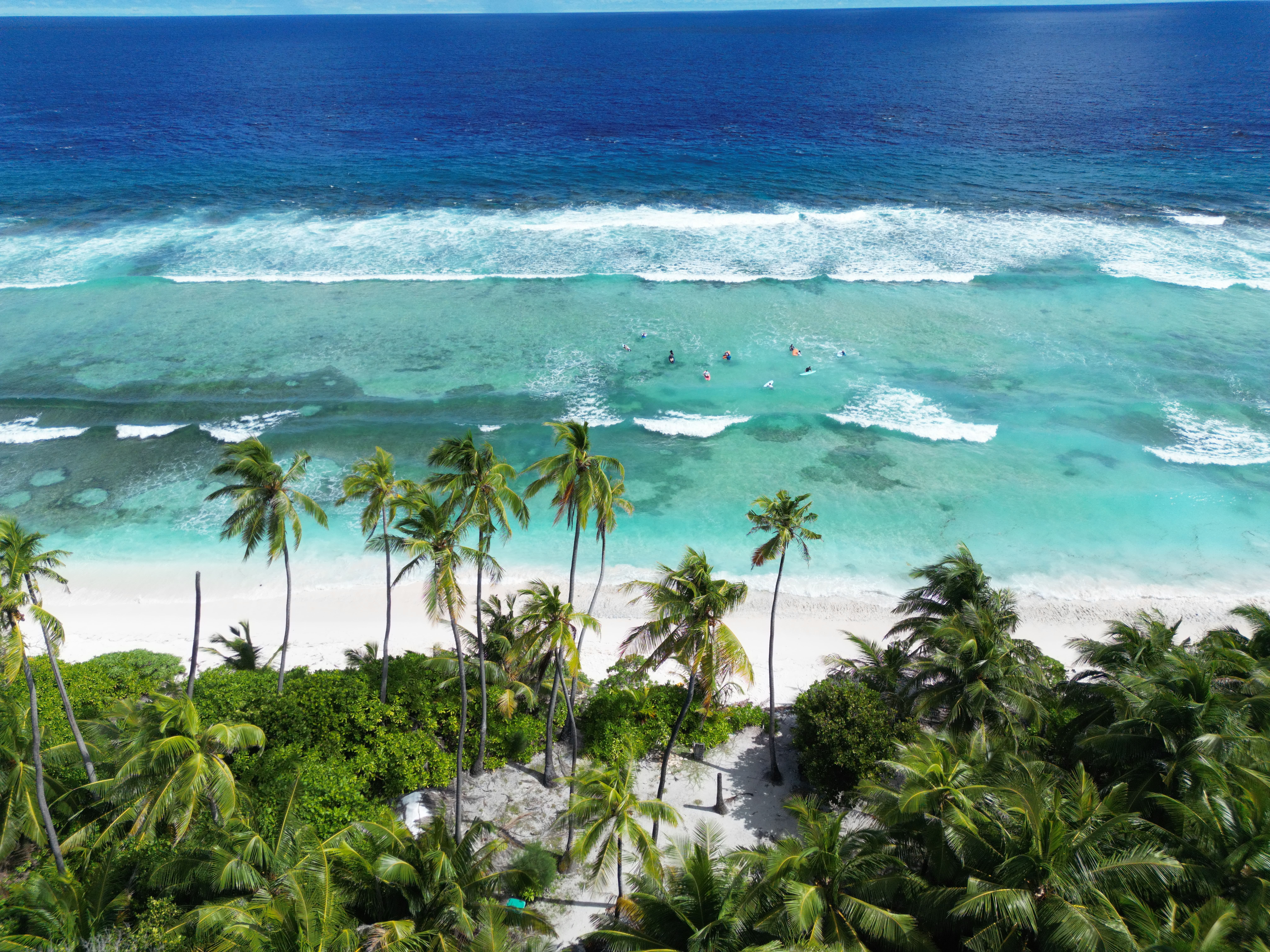 Student practicing surf techniques