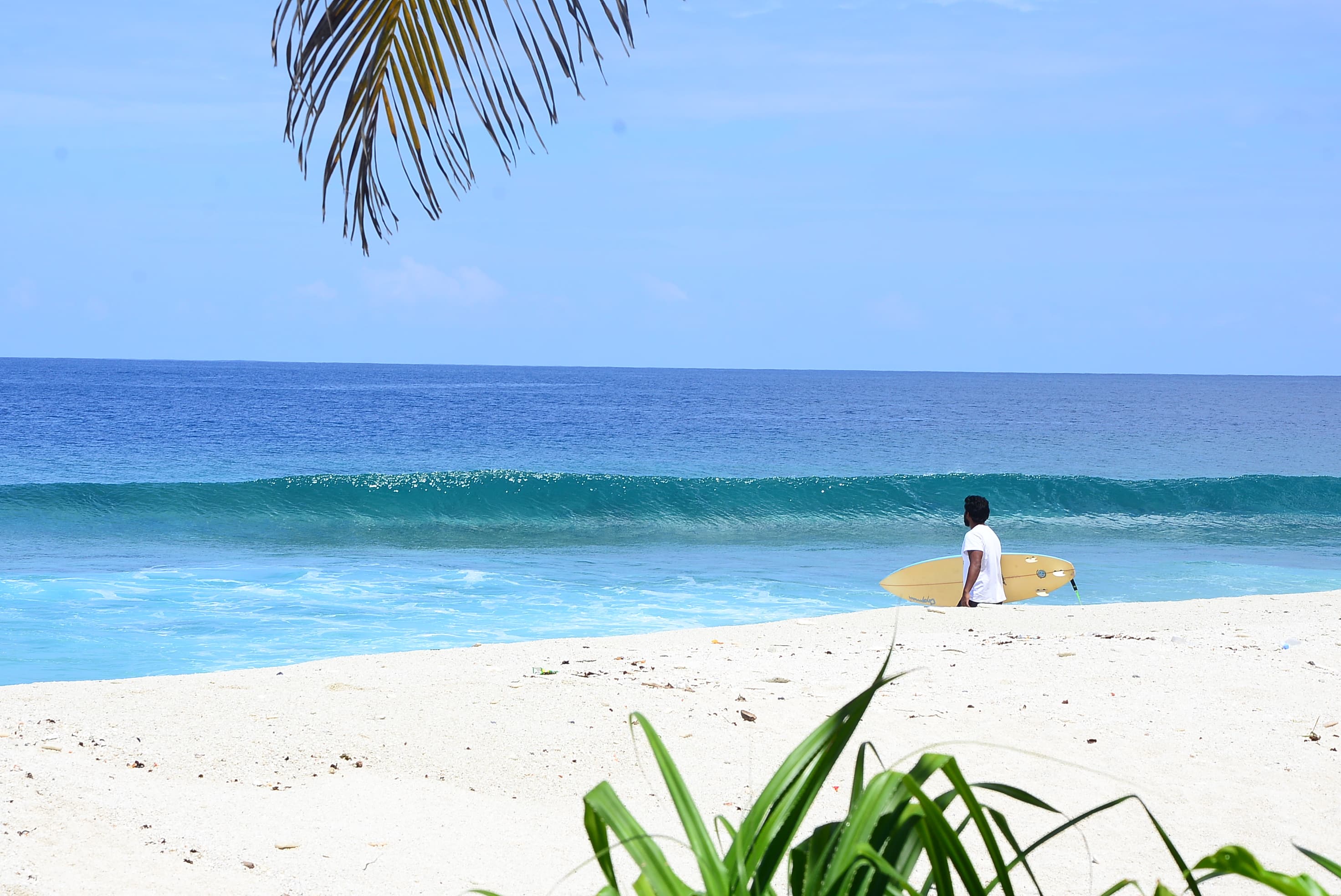 Student practicing surf techniques