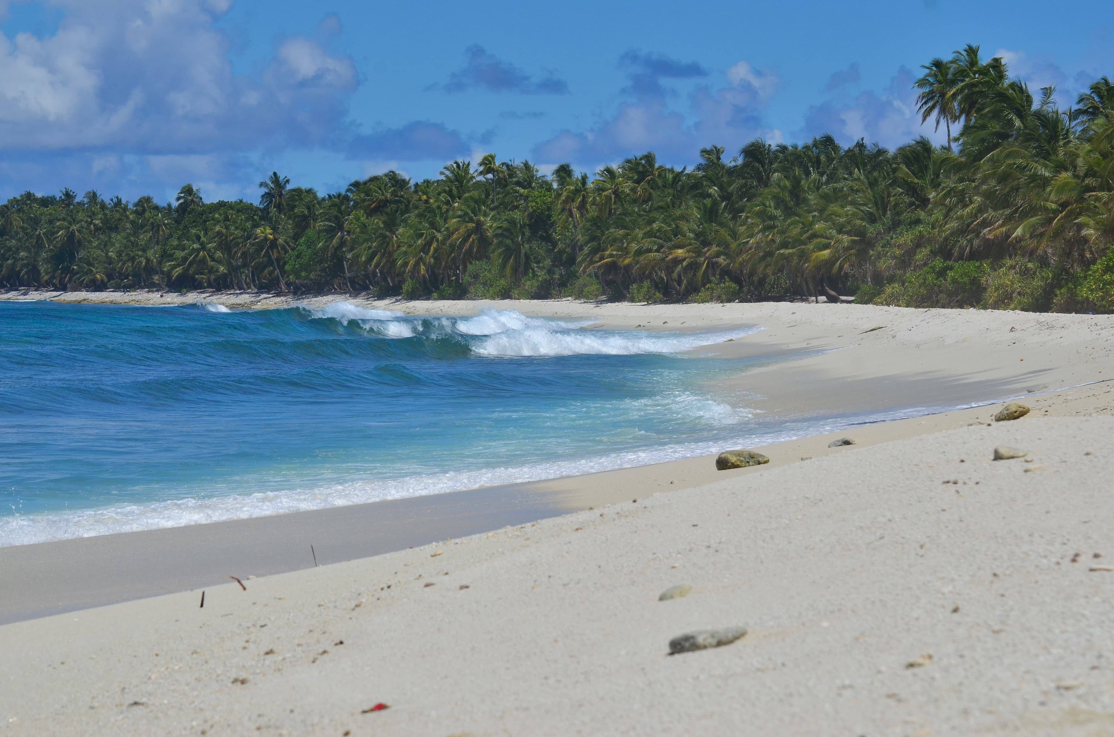 Student practicing surf techniques