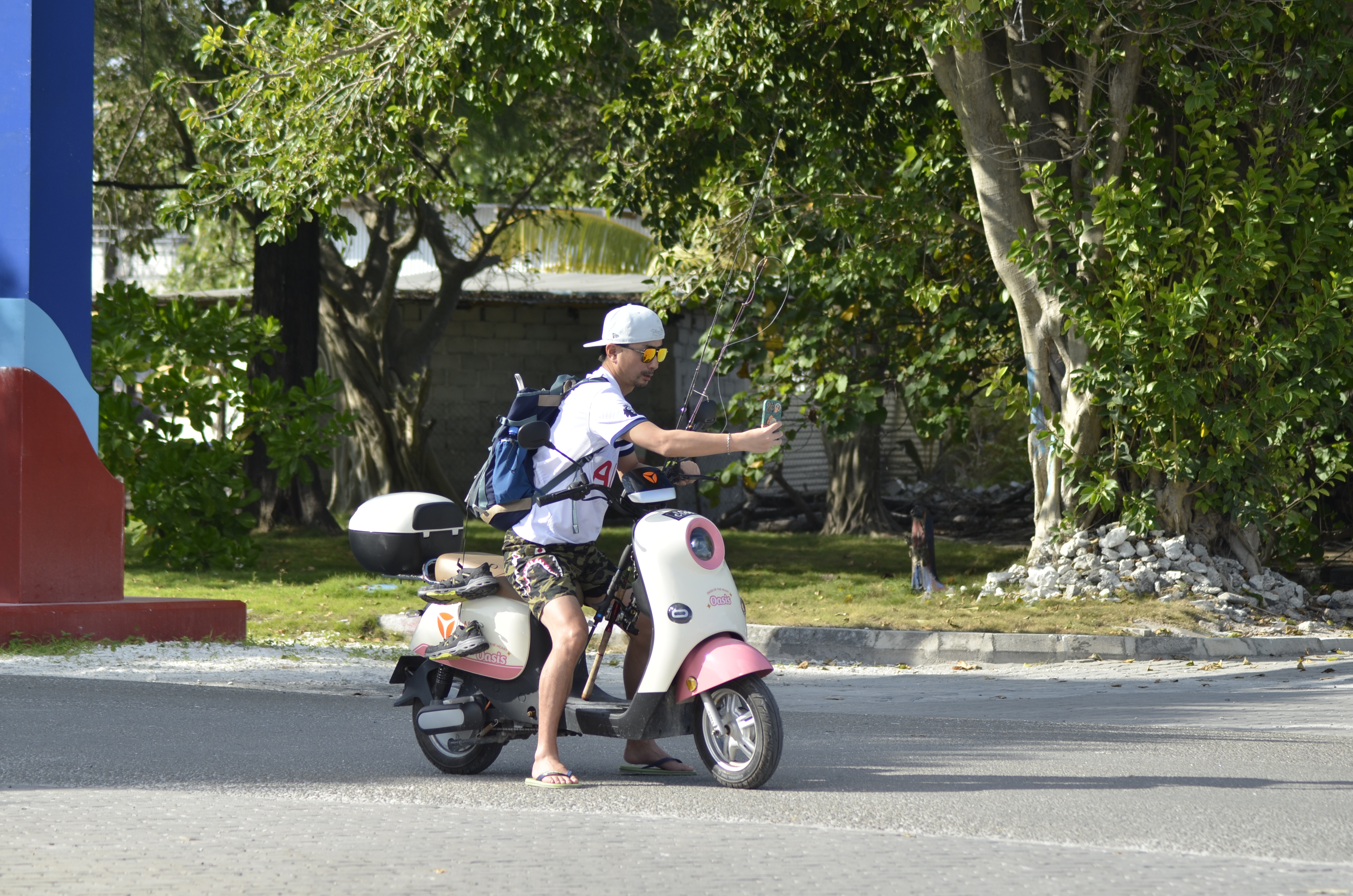 A scooter on a palm-lined road