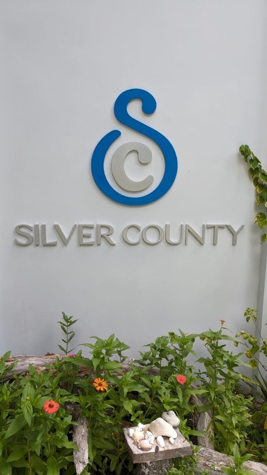 Silver County